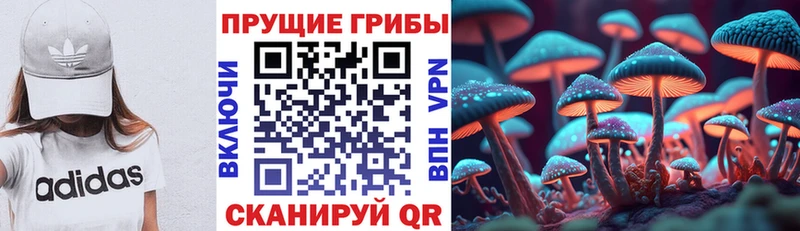 Псилоцибиновые грибы MAGIC MUSHROOMS  цена   Правдинск 