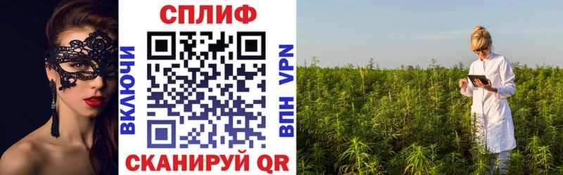 Канабис THC 21% дарнет шоп Правдинск